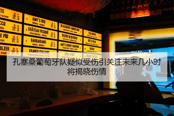 孔塞桑葡萄牙队疑似受伤引关注未来几小时将揭晓伤情